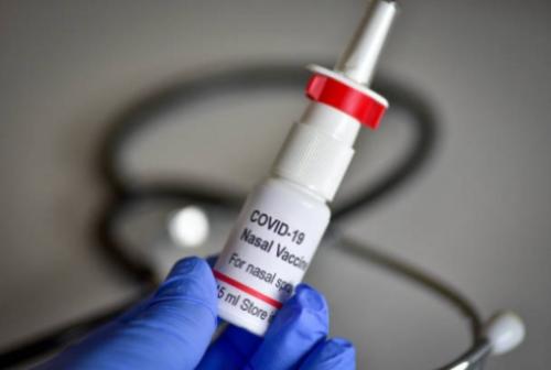 Курская область получила первые 12 тыс. доз назальной вакцины против ковида